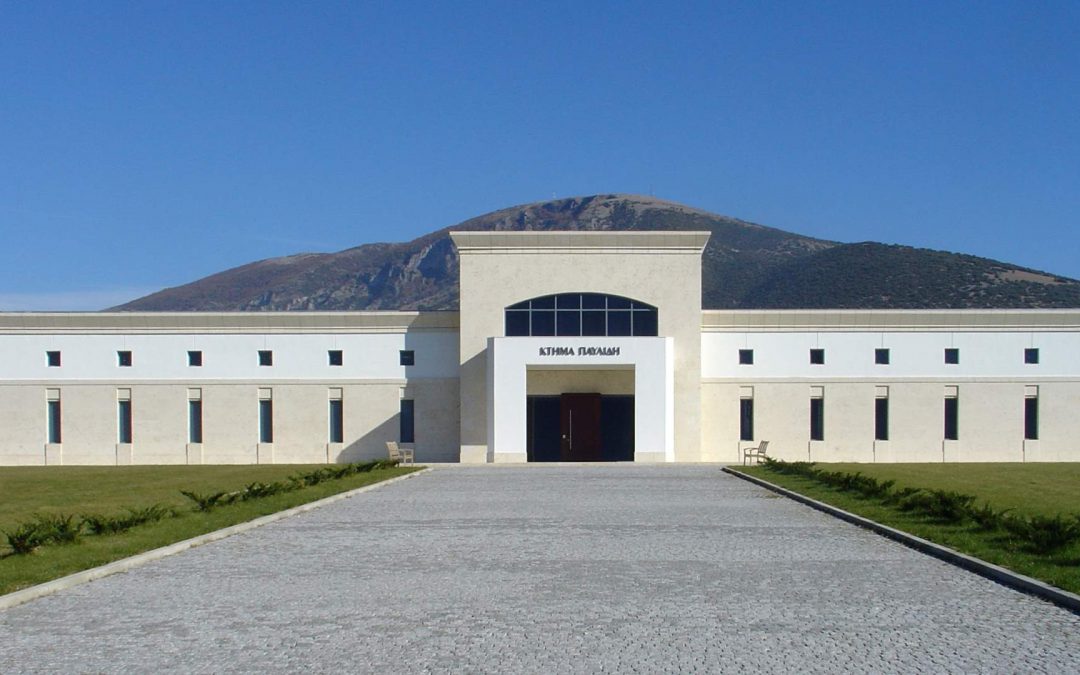 Pavlidis Winery